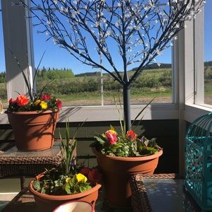 Meet your Posher, Lonnie